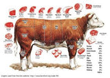 Christmas 2025 - Beef Cuts