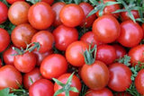 Tomato Options