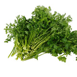 Fresh Herb Options