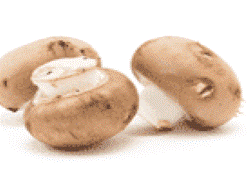 Mushrooms (organic)