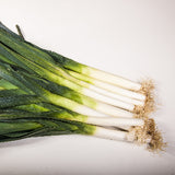 Leeks  - Organic / Church Farm