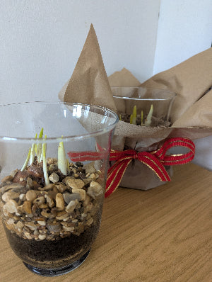 Spring Bouquet Subscription