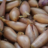 Onions