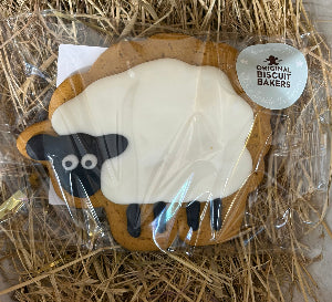 Iced Gingerbread Fleecy Flora Sheep 55g