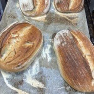 Fresh Baked Breads- Sourdough Loaf