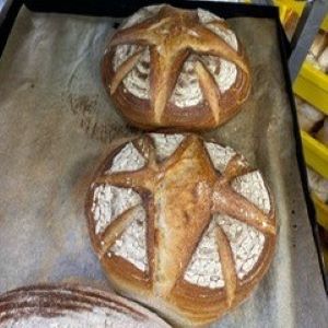 Fresh Baked Breads- Sourdough cob or Loaf