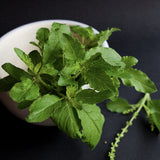Fresh Herb Options