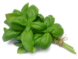 Fresh Herb -  Basil (20g)