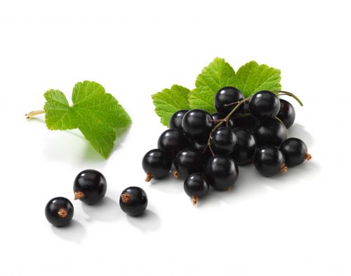 Blackcurrant (CF) 250g