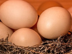 Eggs Free Range (medium)