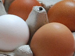 Eggs - Free Range (large)