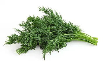 Fresh Herb -  Dill (20g)