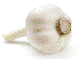 Garlic (organic)
