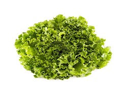 Lettuce (organic)