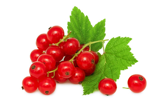 Redcurrants (CF
