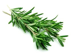 Fresh Herb - Rosemary (20g)