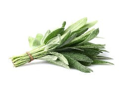 Fresh Herb -  Sage (20g)